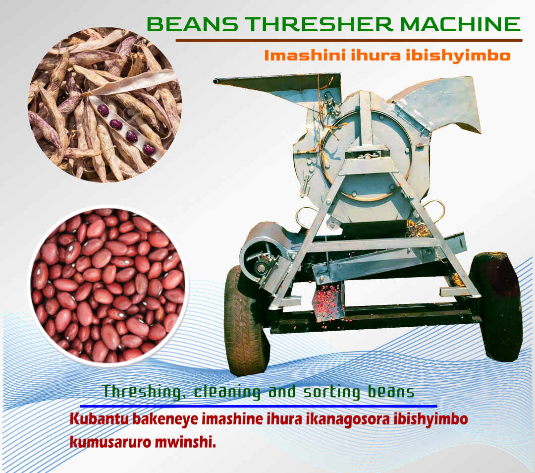 Beans Thresher Machine
